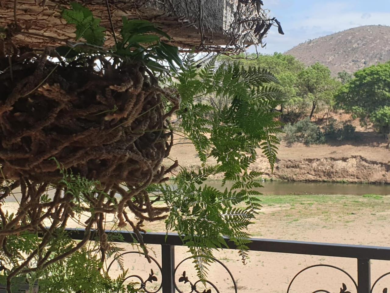 Belvedere-on-river Guest house 4*